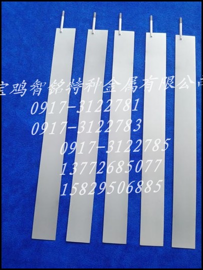 铂电极