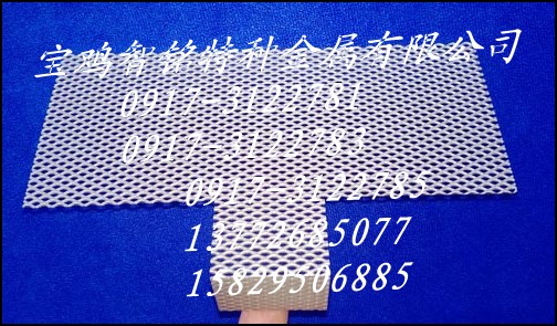 铂电极