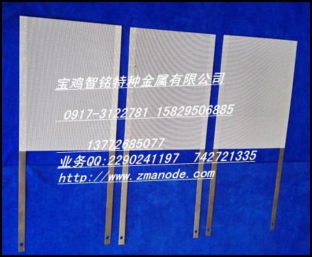 铂金钛网